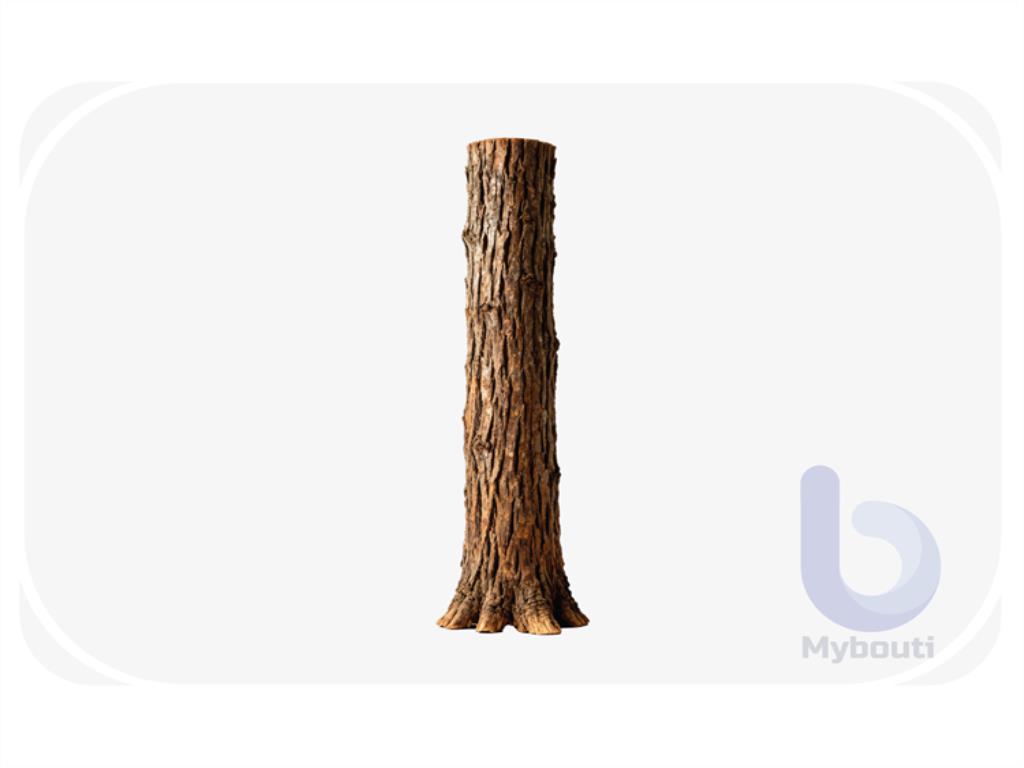 trunk